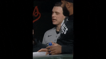 Yankees GIF