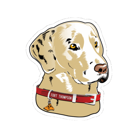 Camping Golden Retriever Sticker by fortthompson