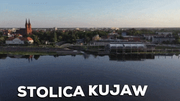 Wek GIF