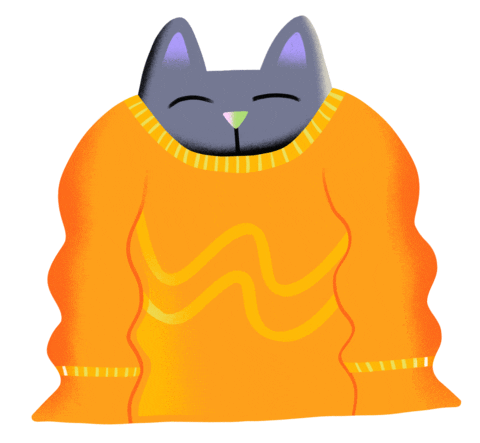Cat In A Sweater GIFs