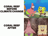 Spongebob coral reef motion meme