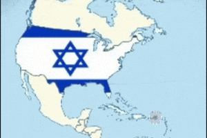 United States Usa GIF