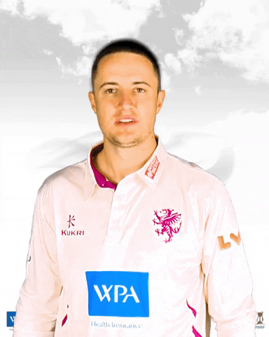Happy Wpa GIF by Somerset County Cricket Club