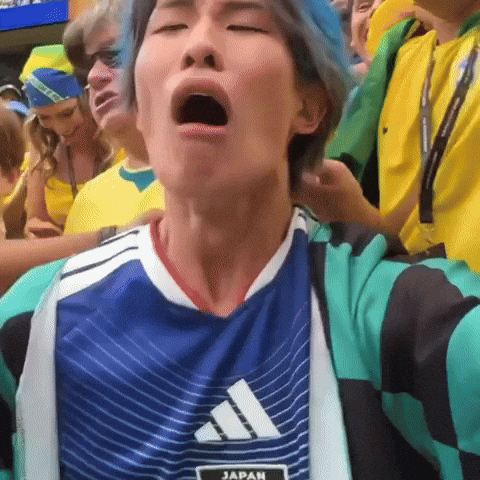 World Cup Football Meme GIF