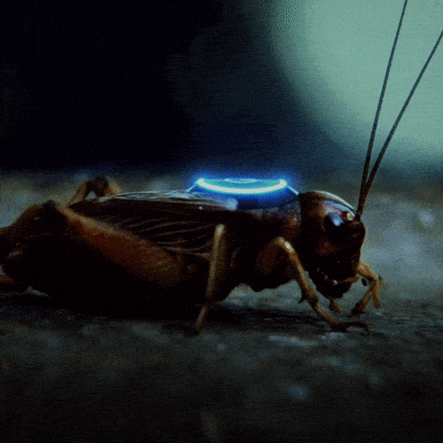 colchonespiero GIF