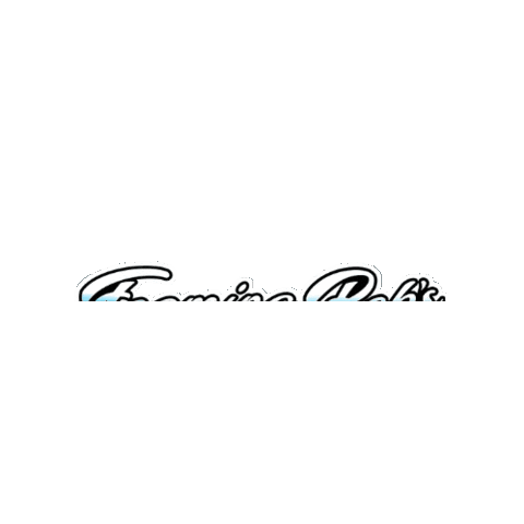 Bike Brand Sticker by 2W Distribution