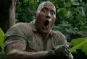 The Rock Wow GIF