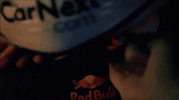 F1 Max GIF