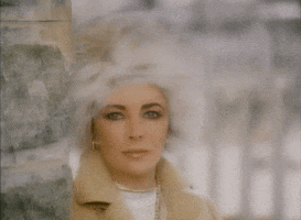 Windy GIF