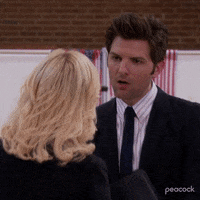 Season 4 Episode 22 GIF by Parks and Recreation