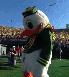 oregon ducks