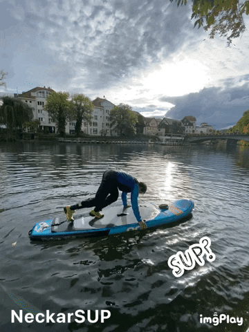 NeckarSUP GIF