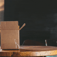 200.gif?cid=fc005b083724f4a254b4181bf67460ac41d5641814077010&rid=200.gif&ct=g
