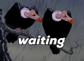 Vulture Waiting GIF