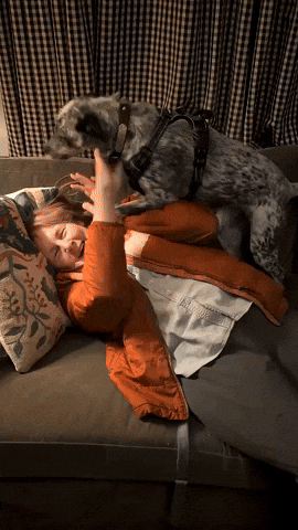 Dog Kisses GIF