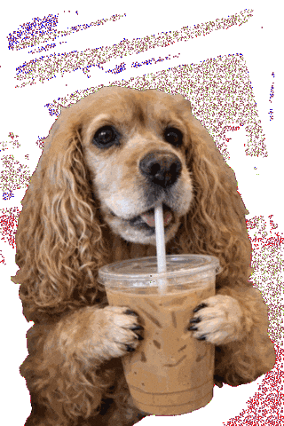 dogue.coffee Sticker