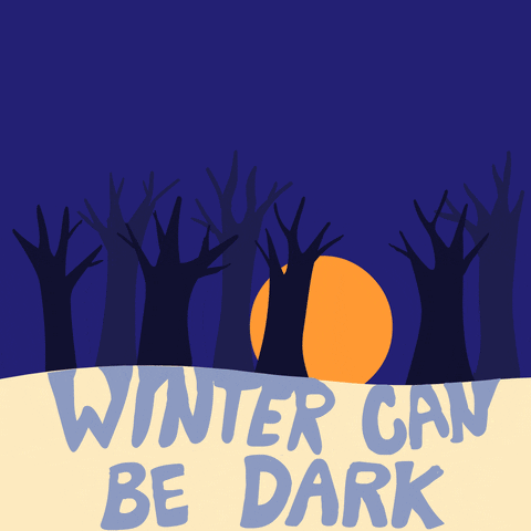 Digital art gif. The sun going down on a dark sky, behind a wintery forest of naked trees, stylized type reads, "Winter can be dark," as the sun falls away the stars come out and a new message appears, "You are not alone."