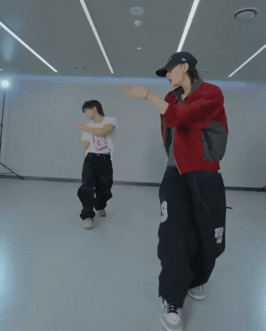 This And That Stray Kids GIF