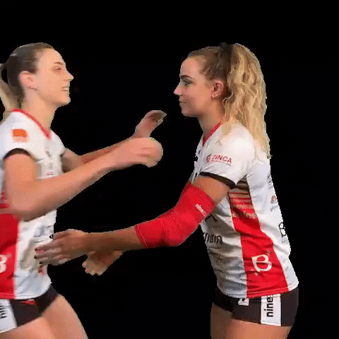 Friends Smile GIF by cuneo_granda_volley