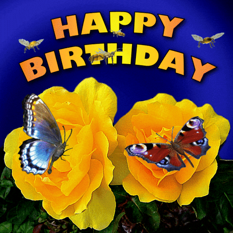 Happy Birthday GIF