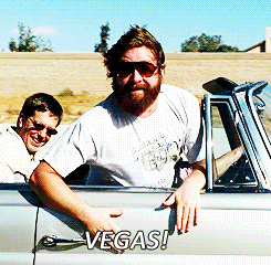 The Hangover Things GIF - Find & Share on GIPHY