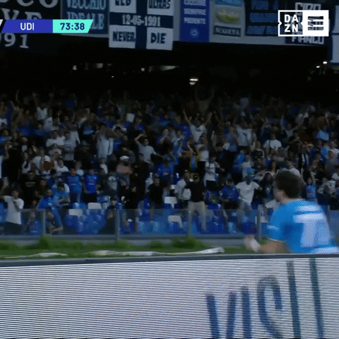 Serie A Goal GIF by ElevenDAZN
