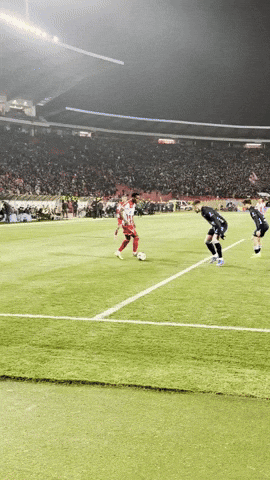GIF by FK Crvena zvezda