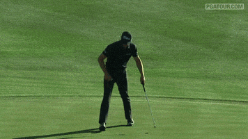 phil mickelson no GIF