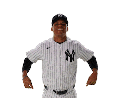 Home Run Baseball Sticker by New York Yankees