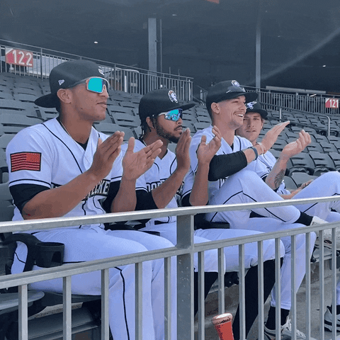 Game Applause GIF by Fayetteville Woodpeckers