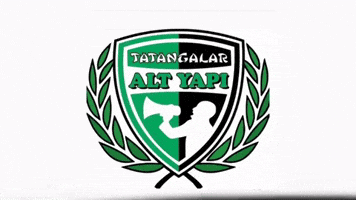 Sakarya Sakaryaspor GIF