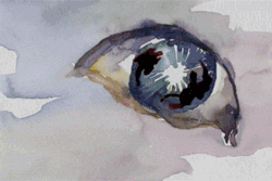 beautiful eyes animation GIF by Will Kim