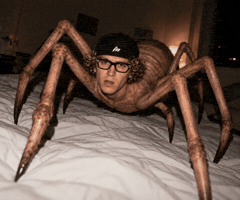 Spider-Man Marvel GIF by Jan Metternich