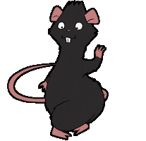 Dance Rat Sticker