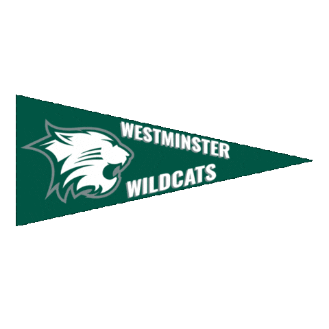 High School Football Sticker by GPB Sports