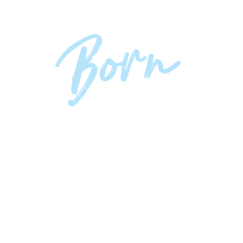 NHProduction Sticker