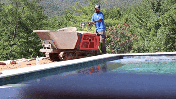 Pool Landscaping GIF by JC Property Professionals