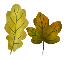 Fall Season Falling Sticker