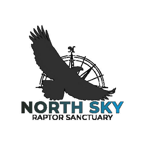 NorthSkyRaptor Sticker