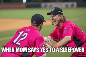 Florence Flamingos GIF