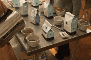 pandascoffee coffee nyc new york city barista GIF