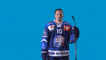 Andrighetto GIF by ZSC Lions