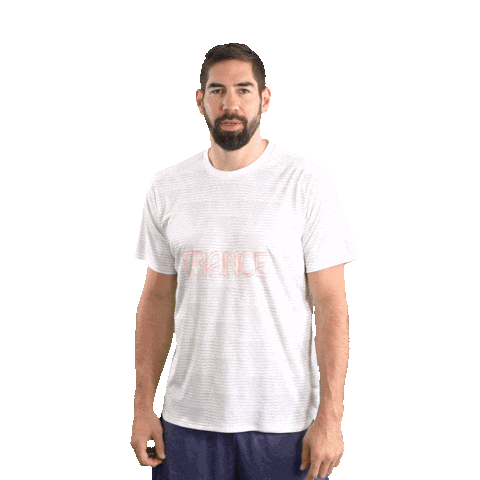 Nikola Karabatic Hand Sticker by Havas Play