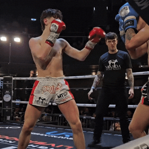 Muay Thai Knockout GIF by Fight Record