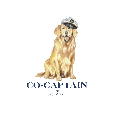 Rudder USA Sticker