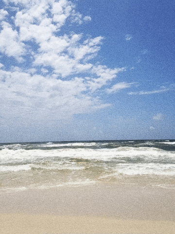 gulf shores waves GIF by mtv