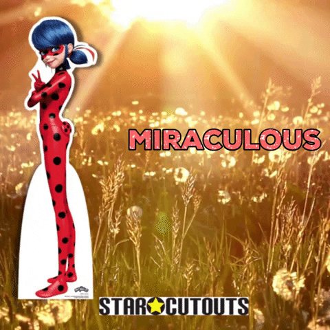 Miraculous Lady Bug GIF by STARCUTOUTSUK