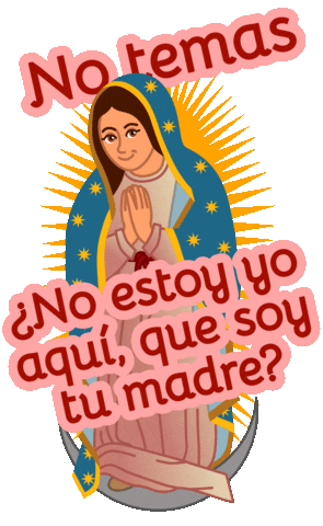 Virgen De Guadalupe Mexico Sticker