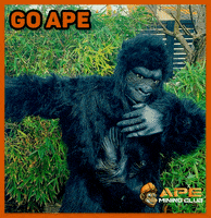 Go Ape GIF by Stick Up Music