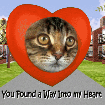 I Love You Cat Heart GIF